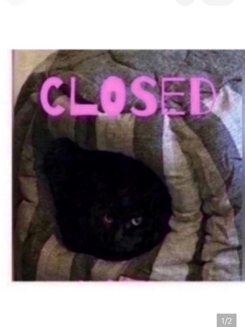 CLOSED 🐈‍⬛Pillows pick 5
